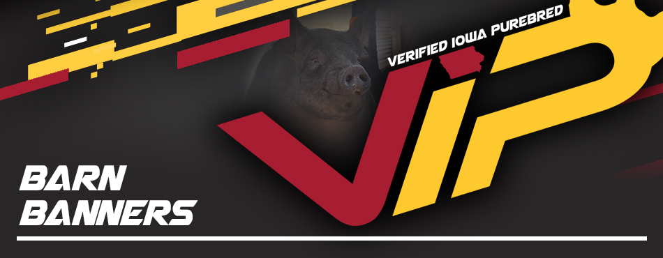 Verified Iowa Purebred - Barn Banners