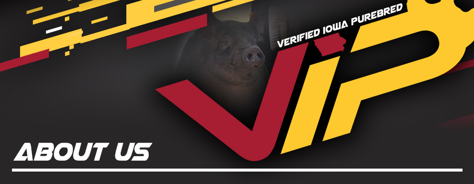 Verified Iowa Purebred - About Us